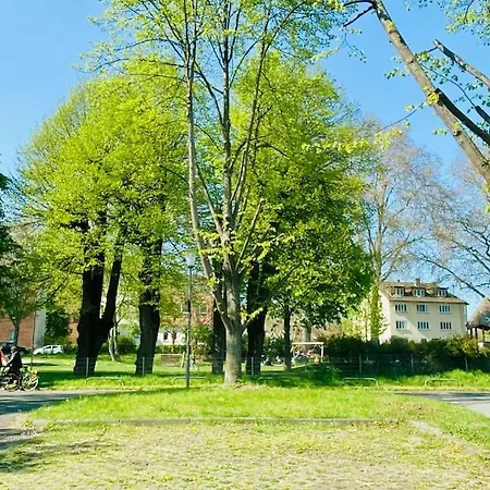 Kassel: Alles, Was Du Brauchst! *